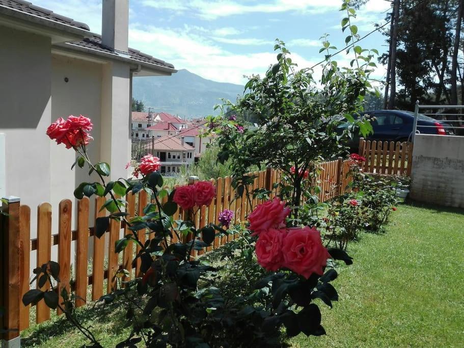 Lily'S Apartment Ioannina Exterior foto