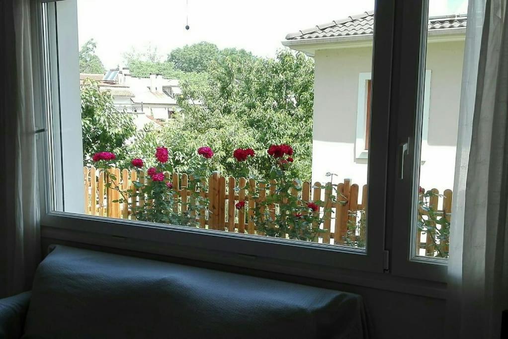 Lily'S Apartment Ioannina Exterior foto